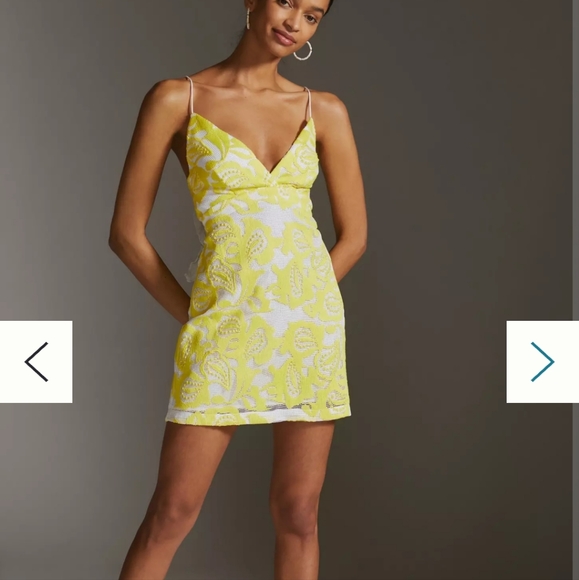 Anthropologie Maeve Strappy Lace Mini Dress - Picture 4 of 16